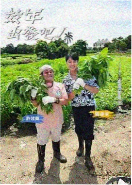 厨房辩证法 纪实综艺封面
